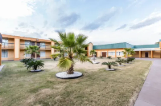 クオリティ イン サバンナ ミッドタウン