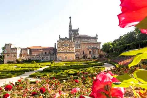 Palace Hotel do Bussaco