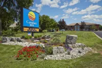 Comfort Inn Hotels near Worlds Largest Fiddle