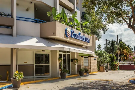 Comfort Inn & Suites Отели в г. Левитовн