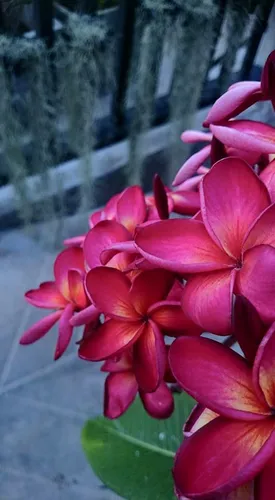 รูปภาพของเดอะลิตเติลเนสต์ ภูเก็ต