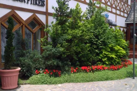 센터 수이쿠 플랫