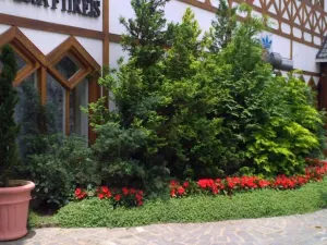 센터 수이쿠 플랫