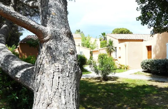 奧魯碼頭假日村莊酒店