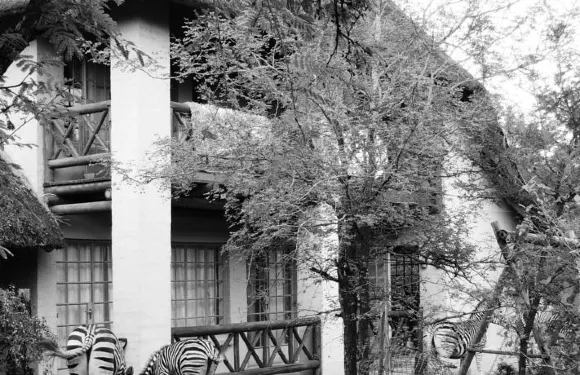 蜜獾野生遠征度假村