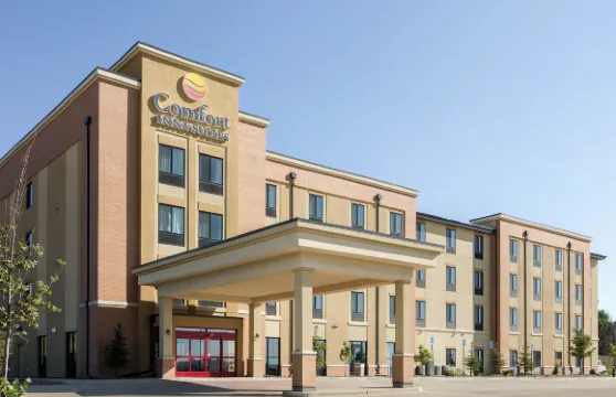 沃特福德市舒適酒店