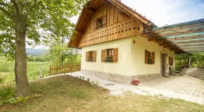 Country House Srček with Two Bedrooms and Vineyard View