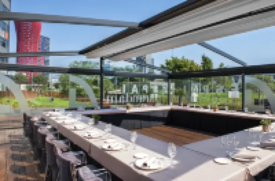 Alexandre Fira Congress