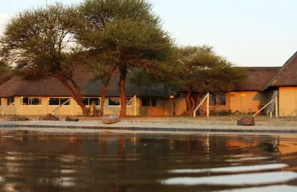 納蓋塔野生動物園旅館
