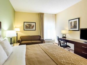 Comfort Inn Horn Lake - Southaven