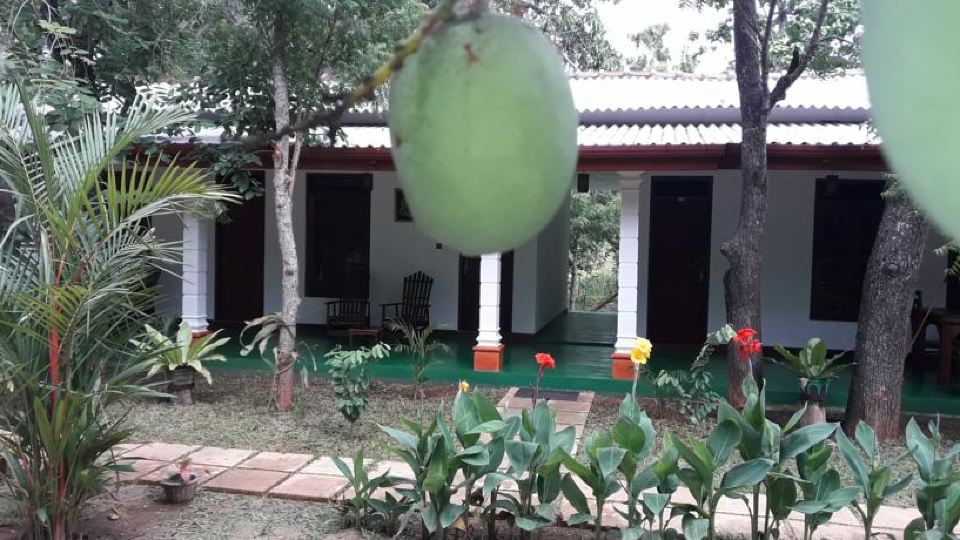 Sigiri Jungle Villa