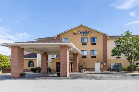 Comfort Inn Romeoville - Bolingbrook Отели рядом с достопримечательностью «Парк Плиммер»