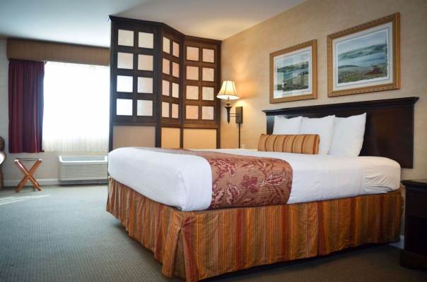 Best Western Plus Vineyard Inn & Suites