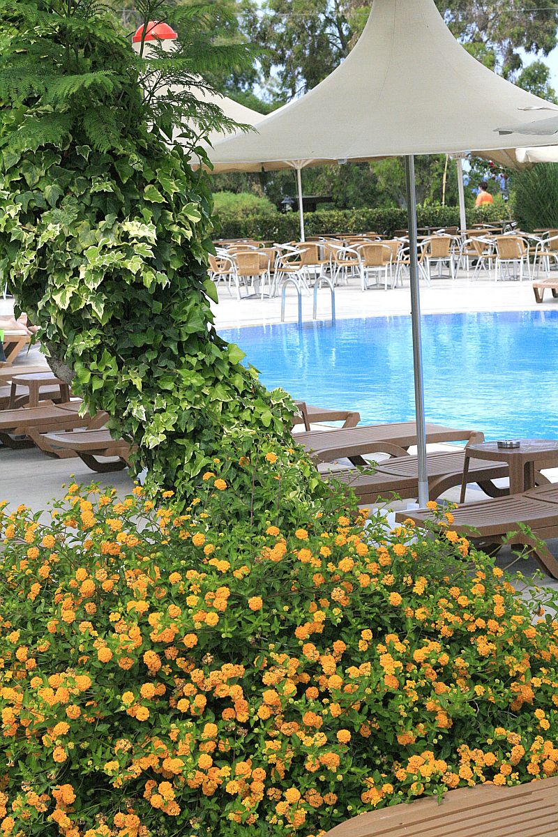 Golden Beach Hotel