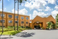 Mi Casa Hotel Hotels in International Drive