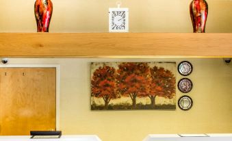 Quality Inn & Suites Raleigh North Raleigh