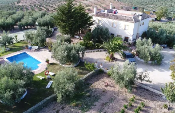 生態農場及卡提基羅酒店