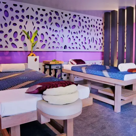 Twin Lotus Resort & Spa - Adult Only (November to April)