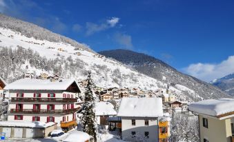 Hotel Traube - Stelvio