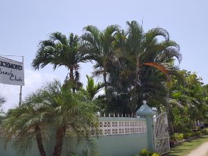 Ocho Rios Villa at Coolshade