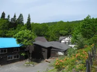 谷地温泉日式旅館