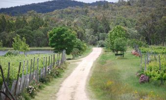 Twisted Gum Vineyard Cottage