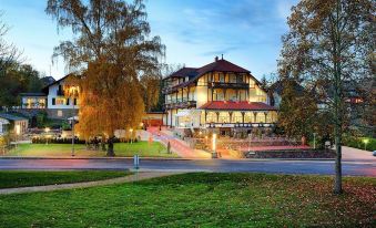 Park Villa Zentral am Mittelrhein