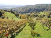 Vineyard Cottage Janko & Metka - balcón