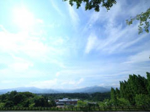 そよ風パーク ホテル コテージ 山都 宿泊予約 安い料金プラン 口コミ 部屋写真 Trip Com