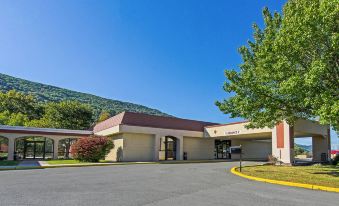 Econo Lodge Inn & Suites