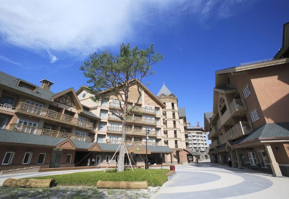 홀리데이 인 스위트 주방