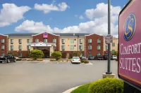Comfort Suites Grand Rapids South Hotels in Byron Township