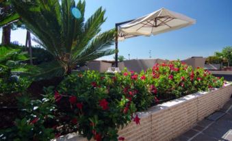 a garden with a variety of flowers and plants , including red and green plants , under an umbrella at Hotel Eden
