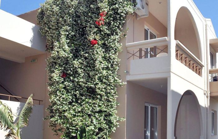 Emerald Hotel