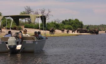 Elephant Valley Lodge