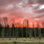 Clansman Motel Hotels in Glen Innes