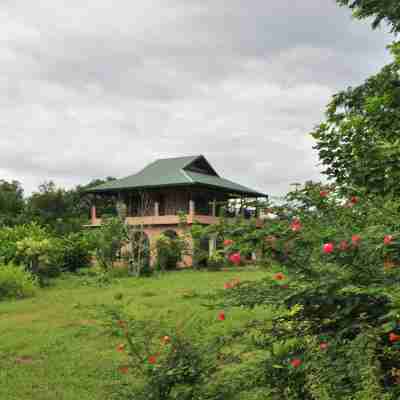 Jim's Jungle Retreat Hotel Exterior
