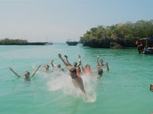 Zanzibar Dream Lodge