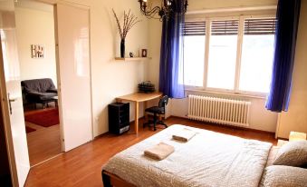 Central Budapest Furnished Apartments