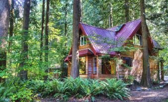 Wild Lily Magical Riverfront Retreat with Guest Cabins and Hot Tub