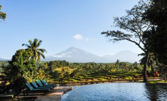 Ijen Resort and Villas - The Hidden Paradise