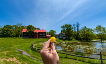 a person is holding a yellow flower in their hand , with a wooden fence and red house in the background at Inn at Tyler Hill