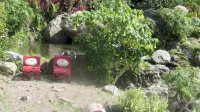 RafJam Bed & Breakfast Отели в г. 