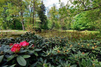 ホテル周辺 ザメク クリチュクフ セントラム コンフェレンツィーノ ヴィポチェンコヴェの写真