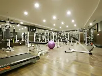 帕特里普特拉大陸酒店 - 健身室/gym room