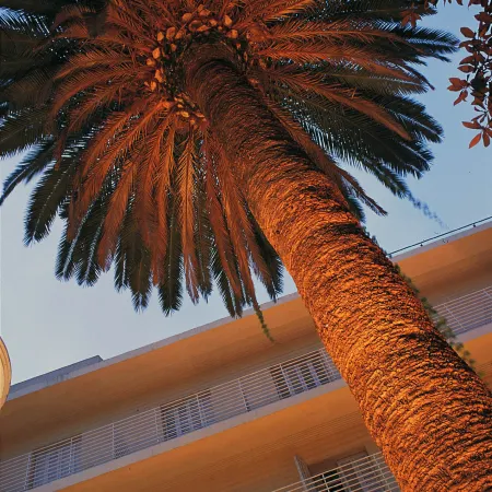 Hotel la Palmera & Spa