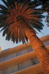 Hotel la Palmera & Spa - Hot Springs