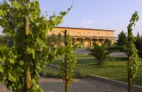 Complejo Enoturístico Finca la Estacada Các khách sạn ở 
