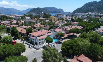 aerial view of a residential area with multiple buildings , cars parked in front , and mountains in the background at Arya Otel