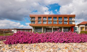 K-Triumf Resort